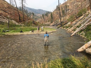 Field team surveying in Pistol Creek