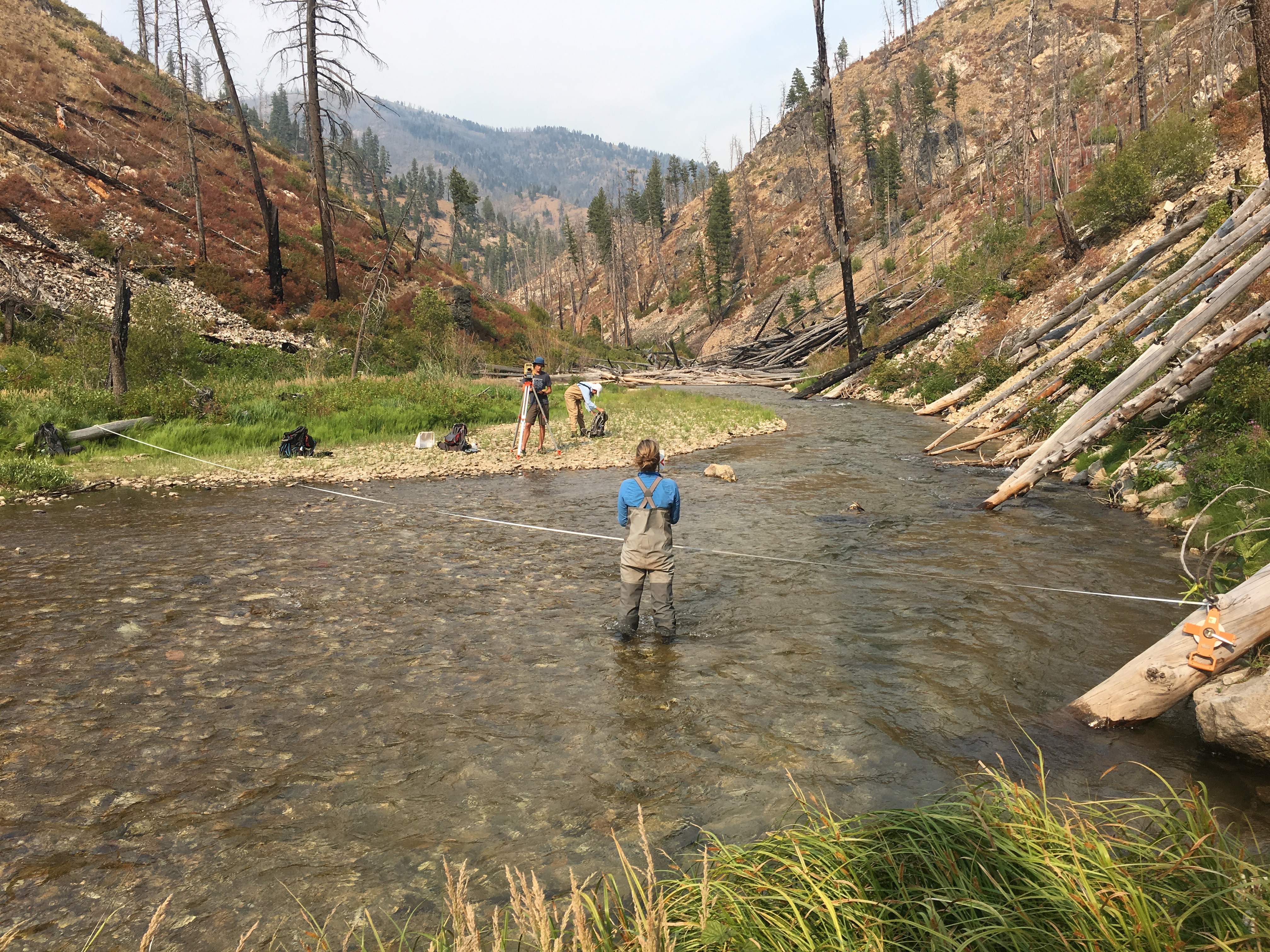 Post-fire debris flows in the Middle Fork of the Boise River